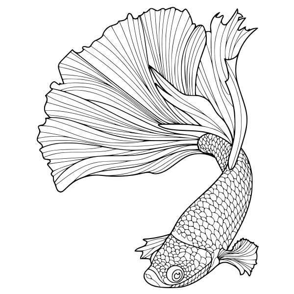 Mandala dos peixes | Desenhos para colorir online para crianças