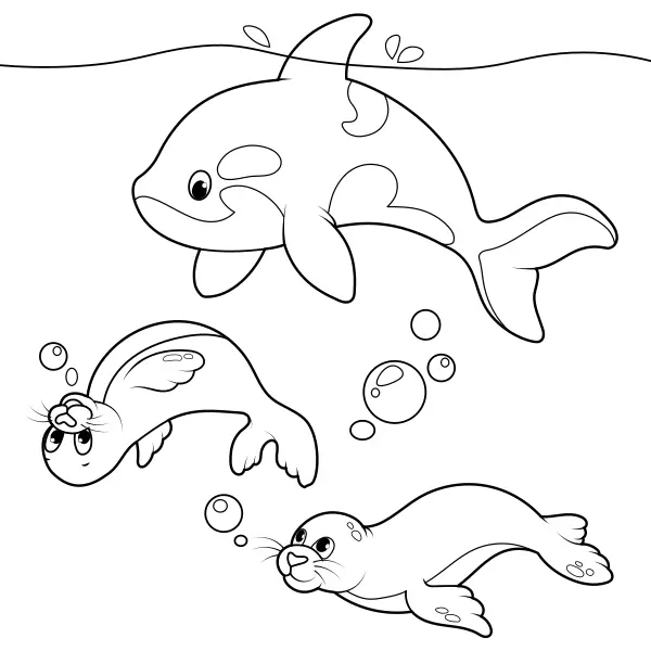 Focas e orcas | Desenhos para colorir online para crianças