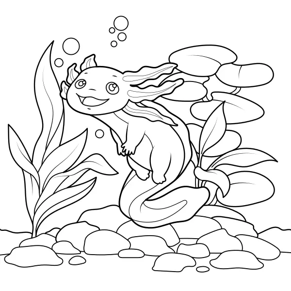 Axolote | Desenhos para colorir online para crianças