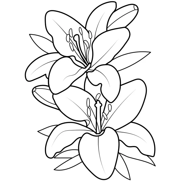 Lírios | Desenhos para colorir online para crianças