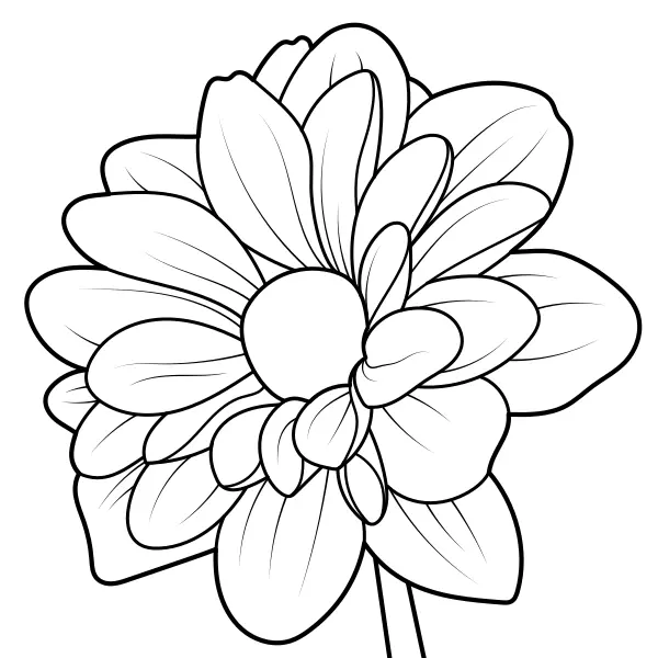 Dália | Desenhos para colorir online para crianças