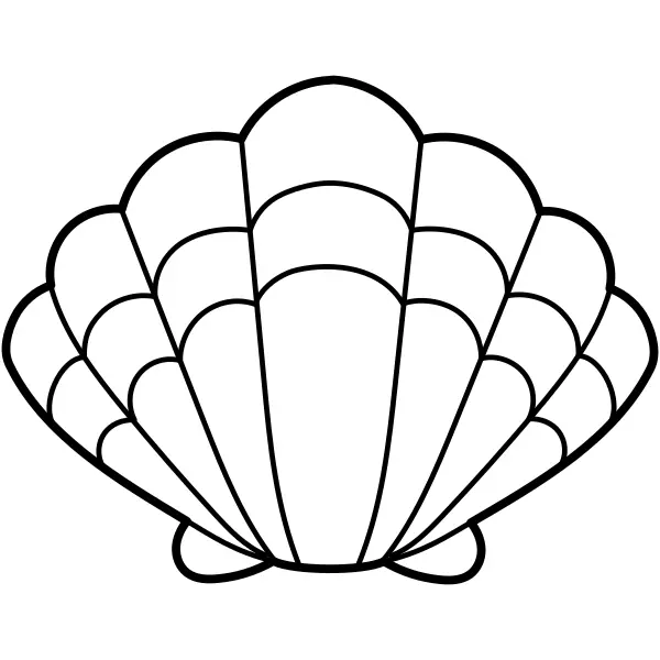 Concha | Desenhos para colorir online para crianças