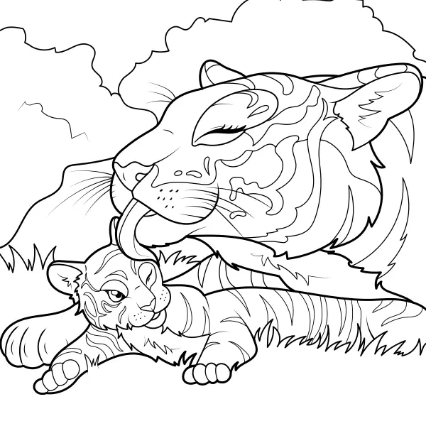 O tigre limpa a cria | Desenhos para colorir online para crianças