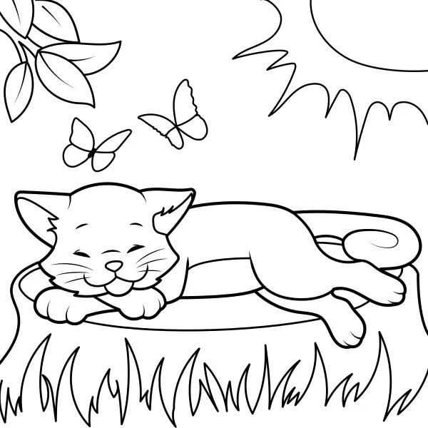 O gato está a aquecer-se ao sol | Desenhos para colorir online para crianças