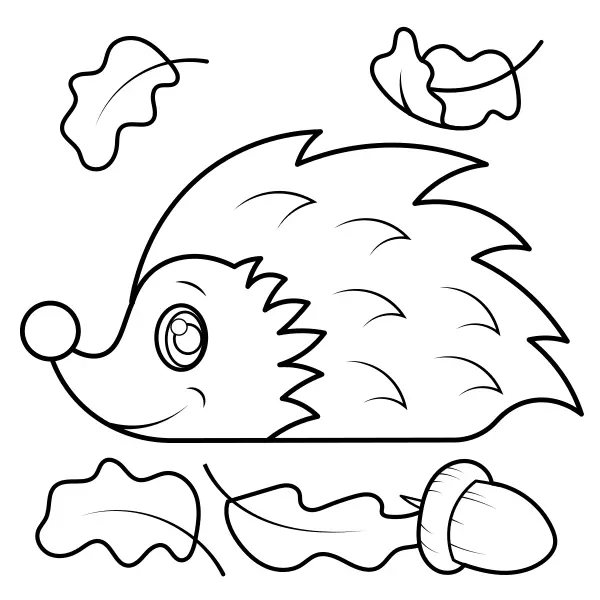 Ouriço | Desenhos para colorir online para crianças
