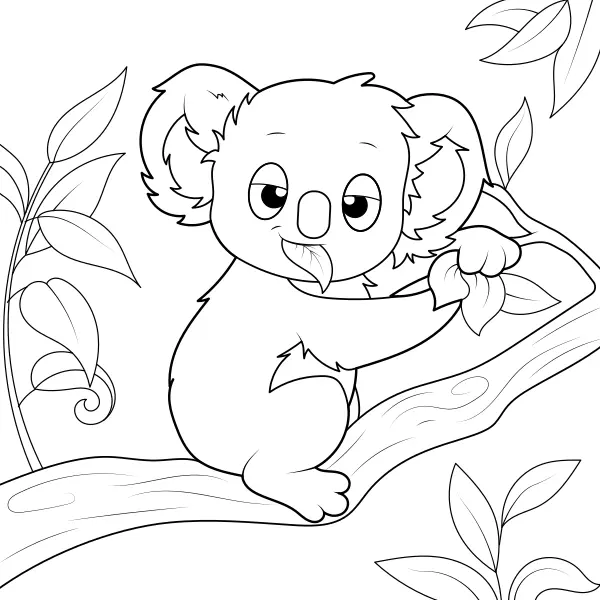 Koala | Desenhos para colorir online para crianças
