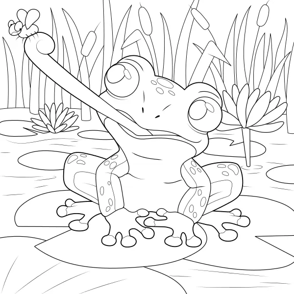 Rã | Desenhos para colorir online para crianças