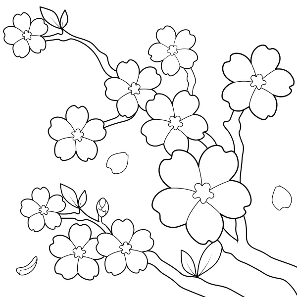 Cerejeira japonesa | Desenhos para colorir online para crianças