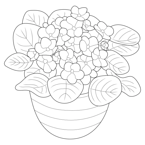 Violetas | Desenhos para colorir online para crianças