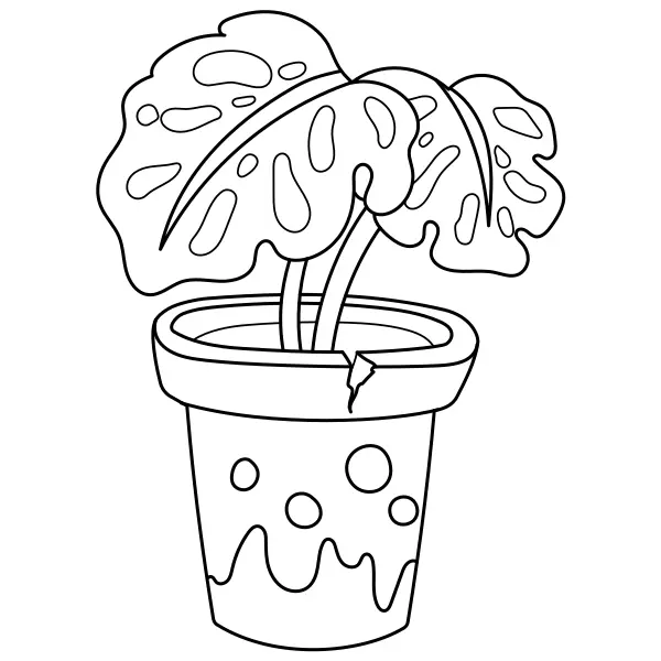 Planta Monstera | Desenhos para colorir online para crianças